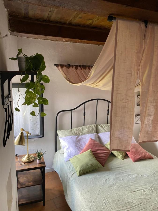 La Casa Sui Tetti -calcata Apartment