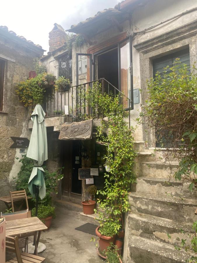 La Casa Sui Tetti -calcata Apartment *